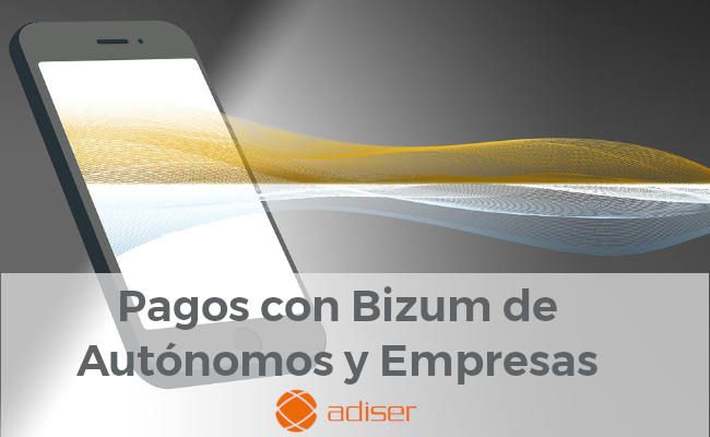 Bizum y los autónomos y empresas