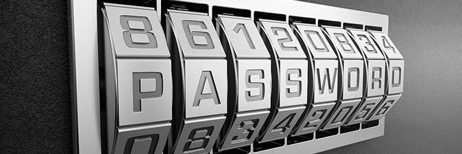 Seguridad contraseña