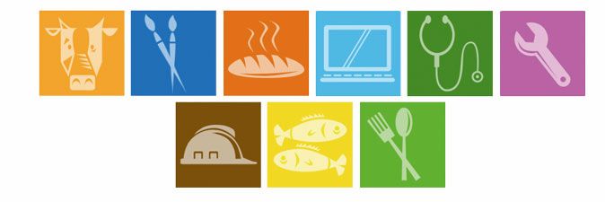 Sectores Actividades Económicas