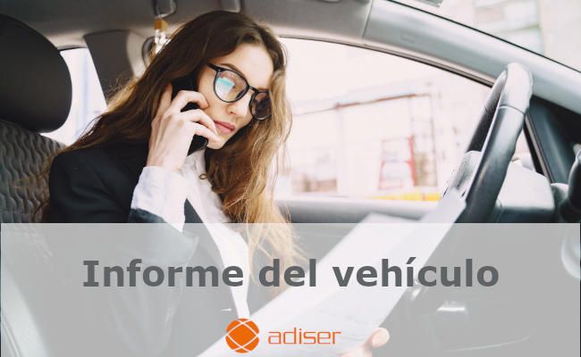 Informe del vehículo