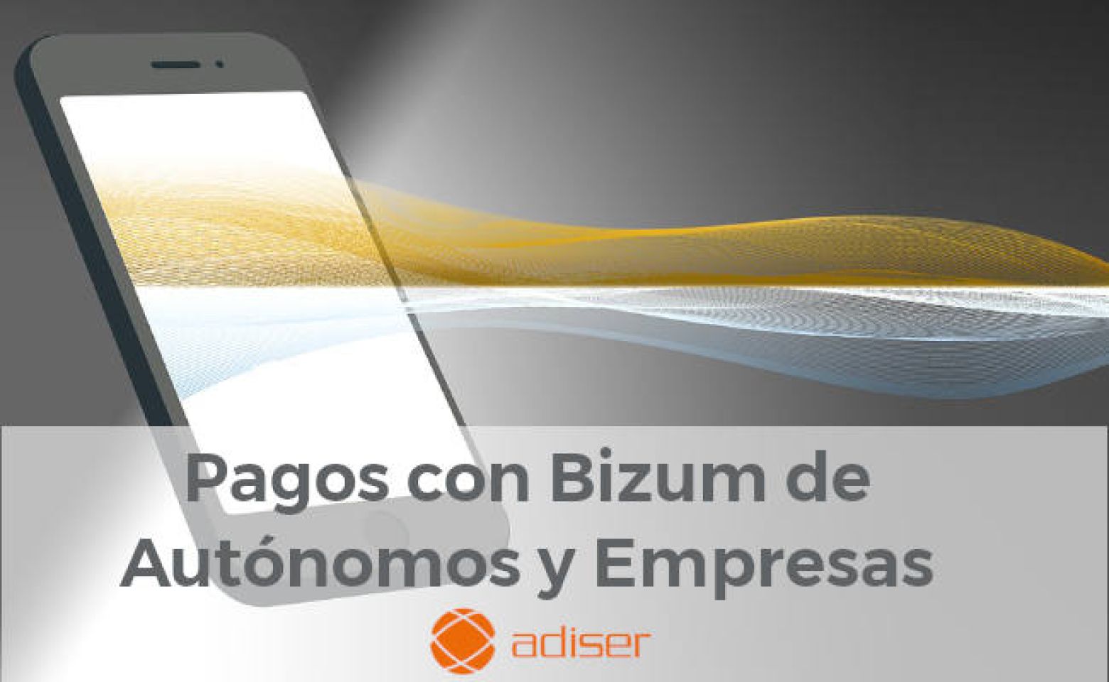 Bizum y los autónomos y empresas